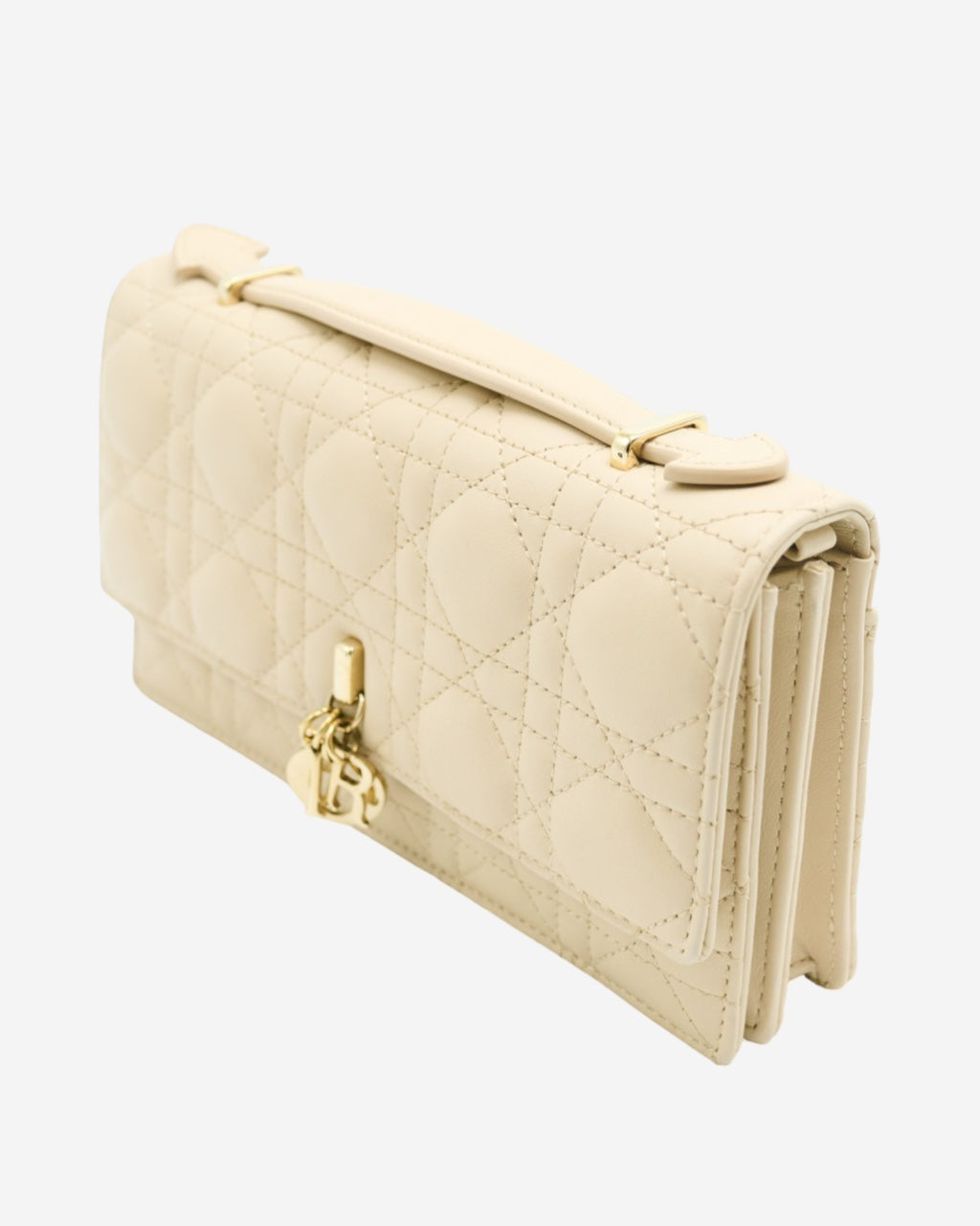 Bolsa Dior Daily 2023