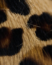 Tenis Golden Goose  Superstar Animal Print 36