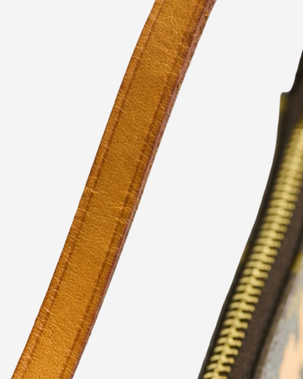 Louis Vuitton x Stephen Sprouse Pochette 2001