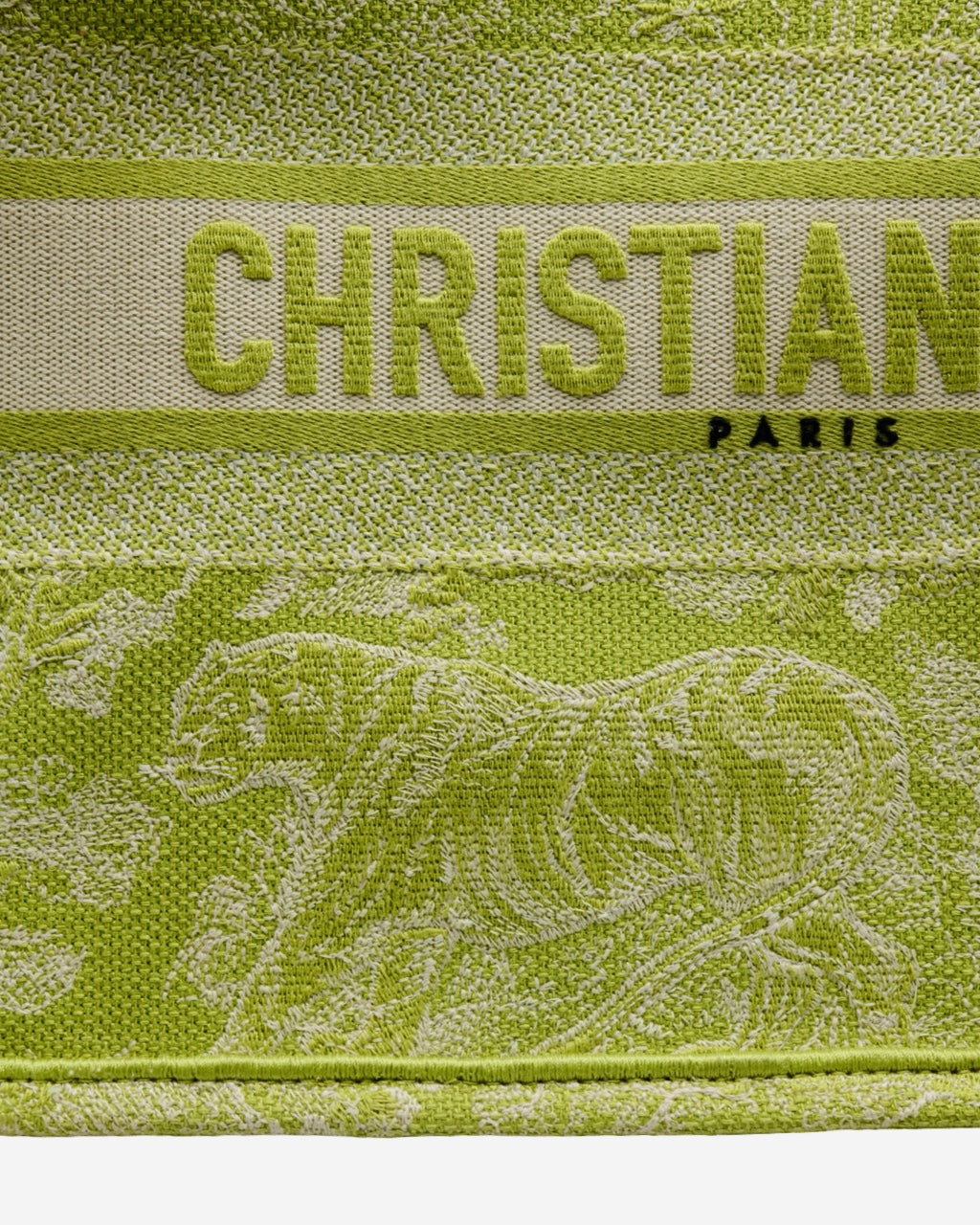 Bolsa Dior Book Tote 2021