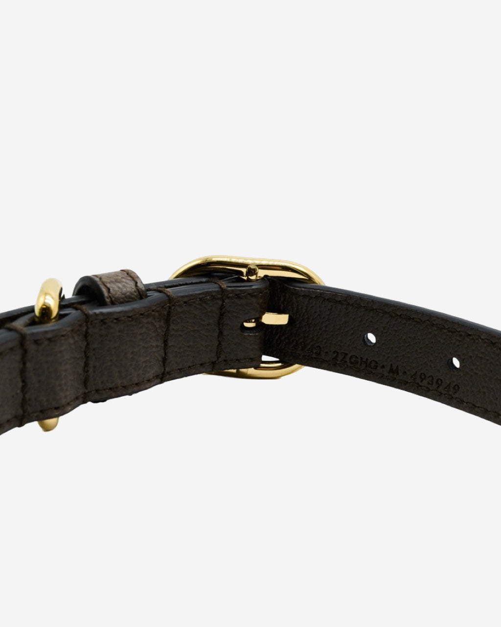 Collar para Mascotas Gucci