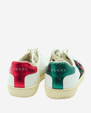 Tenis Gucci Ace 36