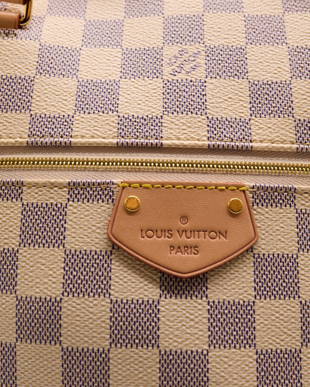 Bolsa Louis Vuitton Lena MM 2020