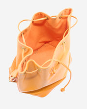 Bolsa Louis Vuitton Noe