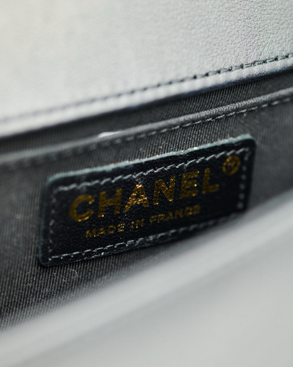 Chanel Boy Mini Raccoon Bag 2019