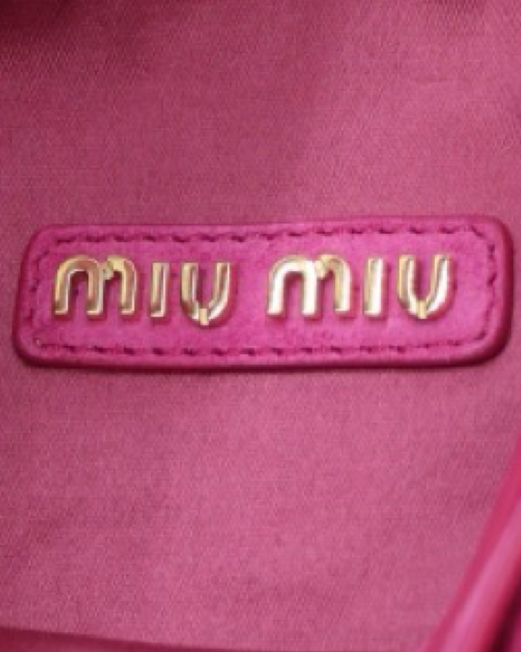 Bolsa Miu Miu Mini Wader
