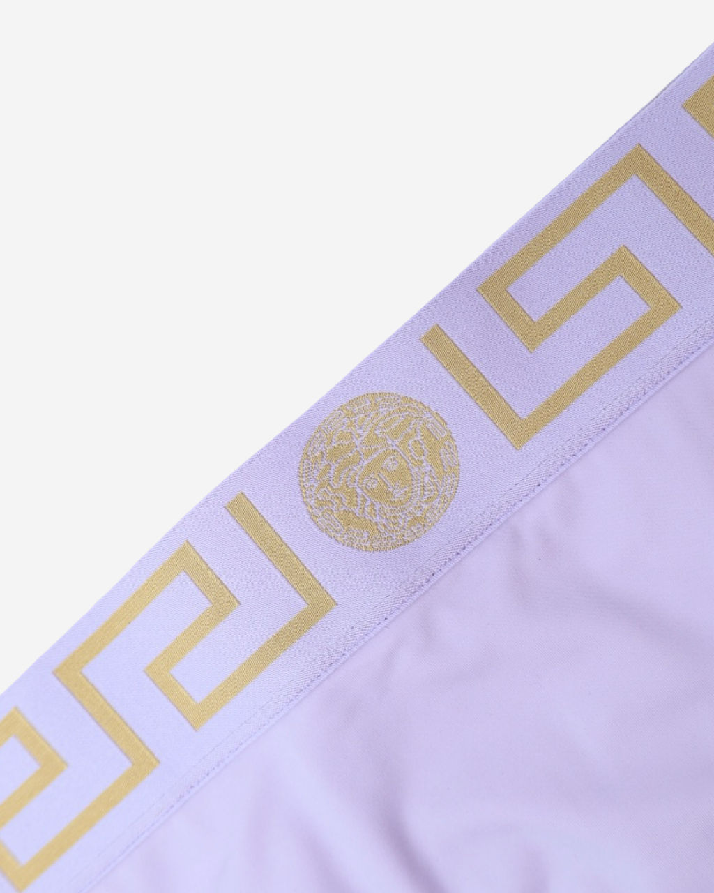 Bottoms de Traje de Baño Versace 2 IT