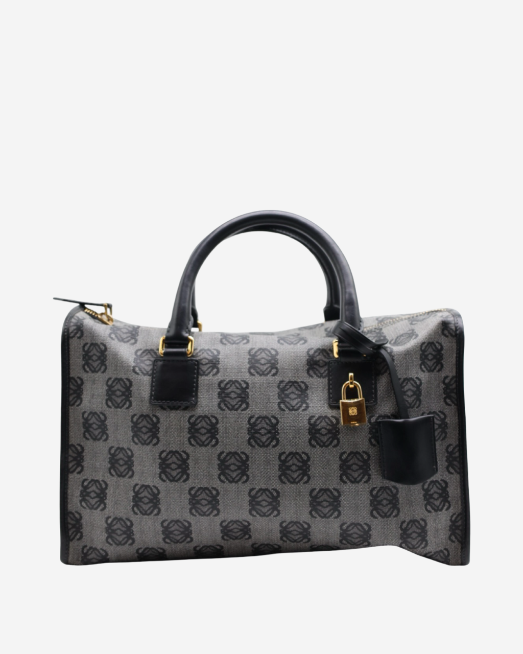 Bolsa Loewe Amazona Canvas