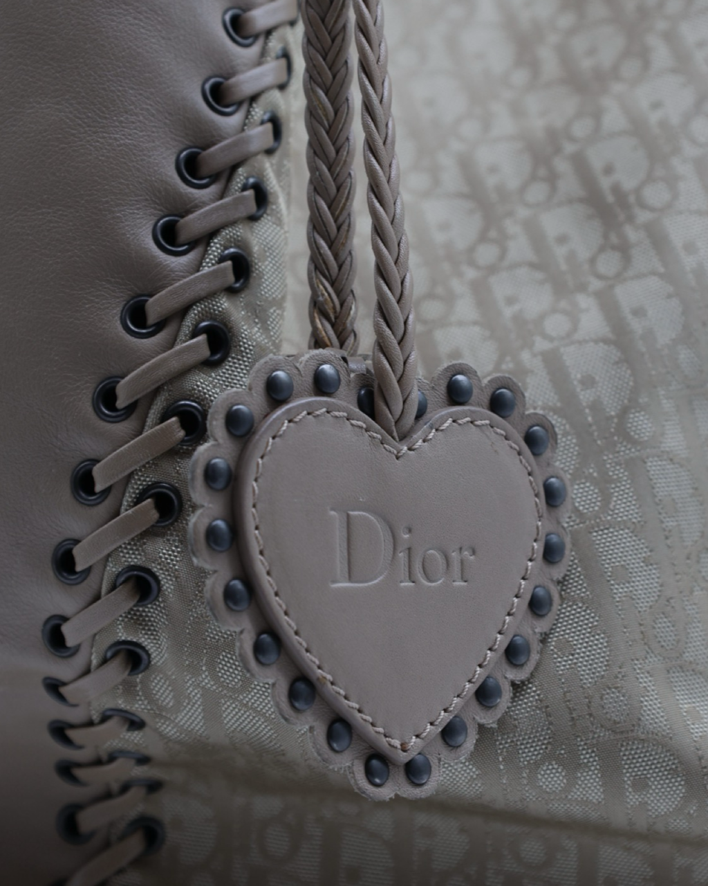 Vintage Dior Hobo Oblique Bag