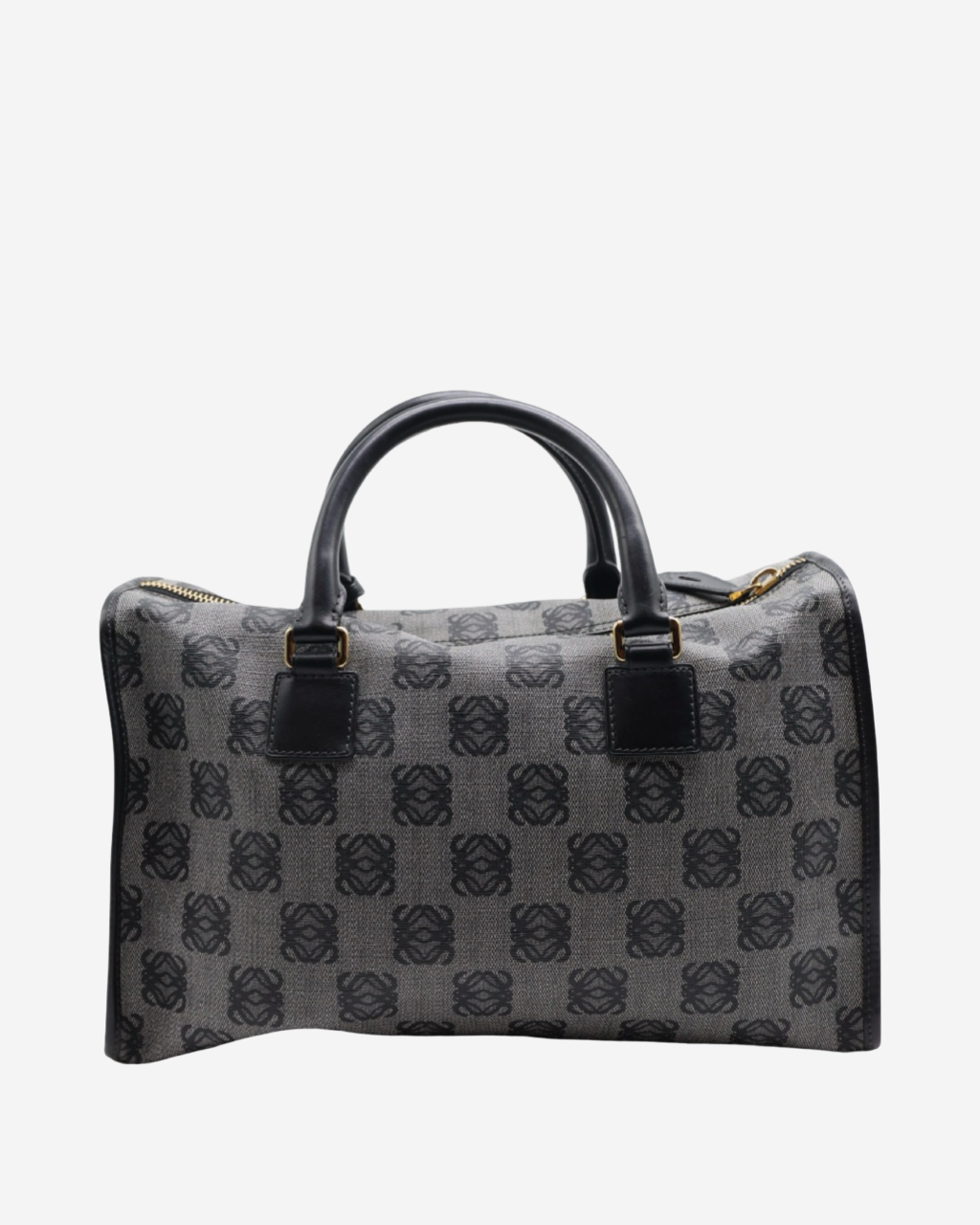 Bolsa Loewe Amazona Canvas