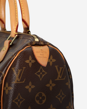 Bolsa Louis Vuitton Speedy 25