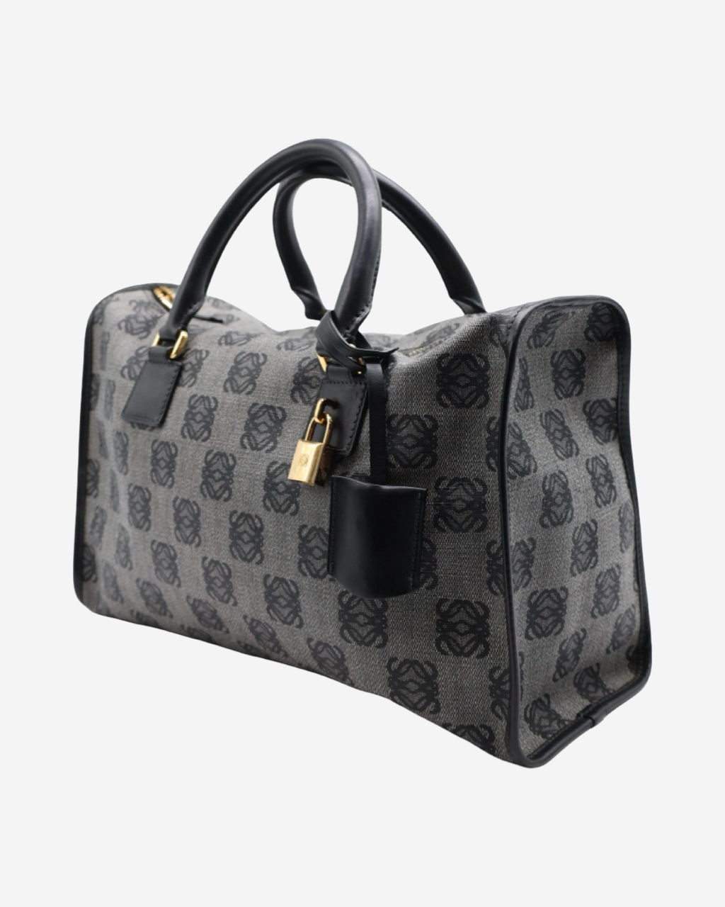 Bolsa Loewe Amazona Canvas