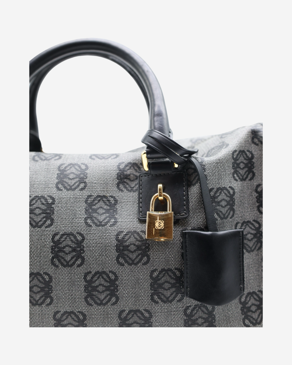 Bolsa Loewe Amazona Canvas