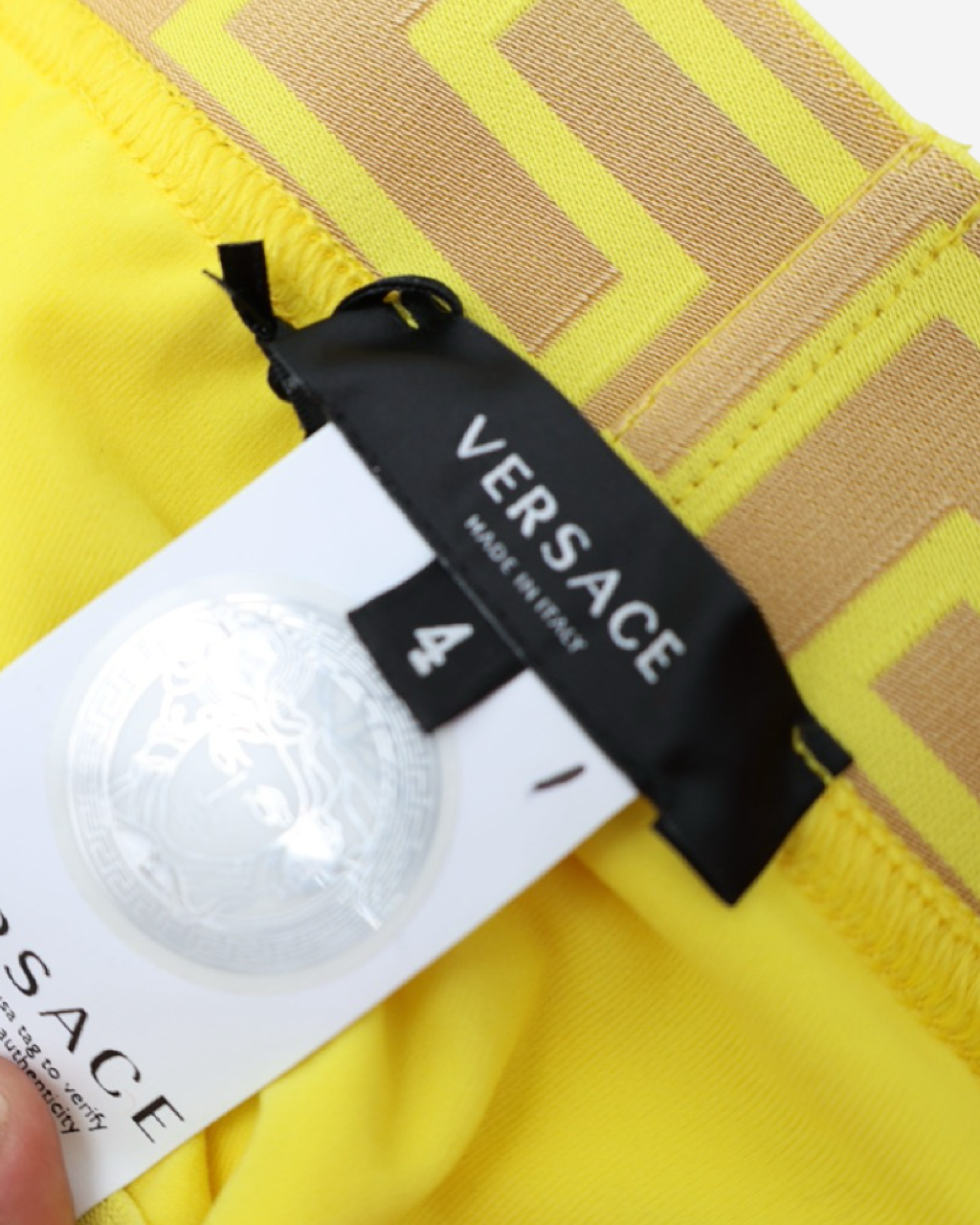 Bottoms de Traje de Baño Versace 4 IT