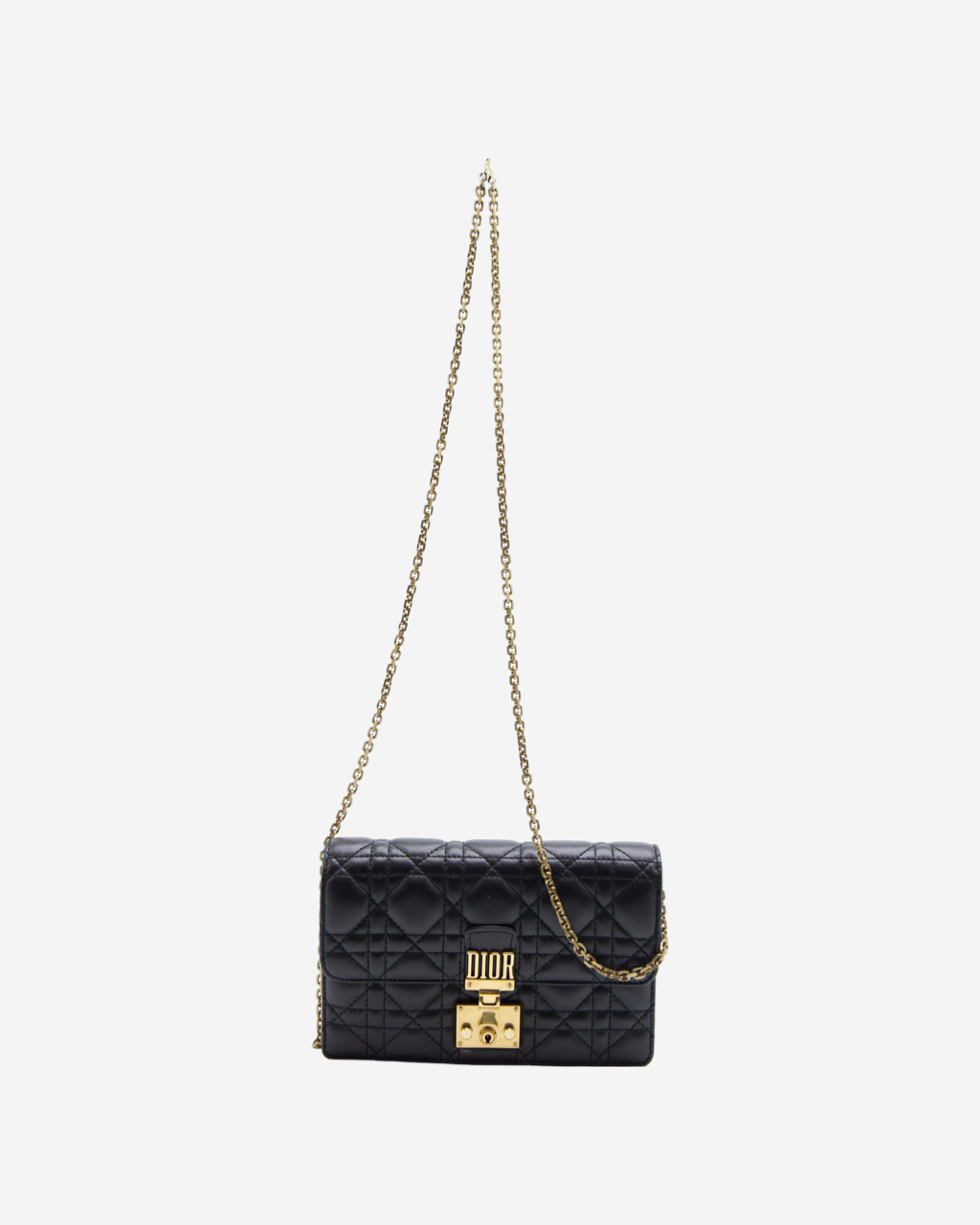 Dior Cannage WOC Bag