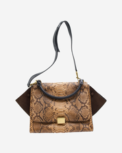 Celine Trapeze Suede Bag