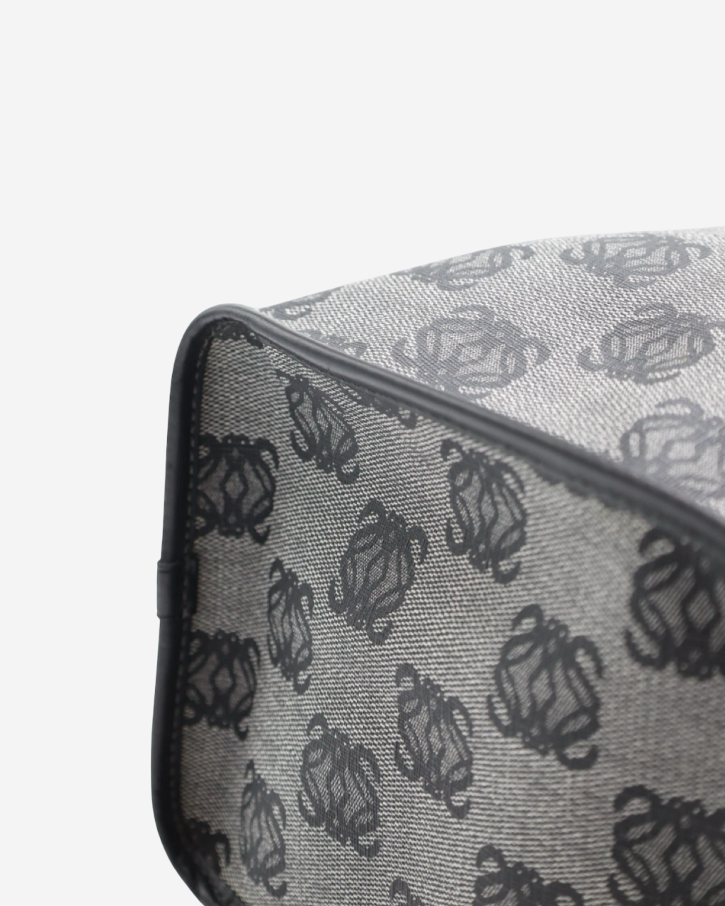 Bolsa Loewe Amazona Canvas
