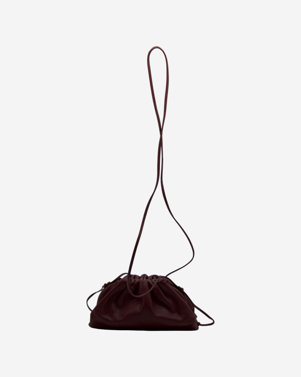 Bottega Veneta The Pouch Bag