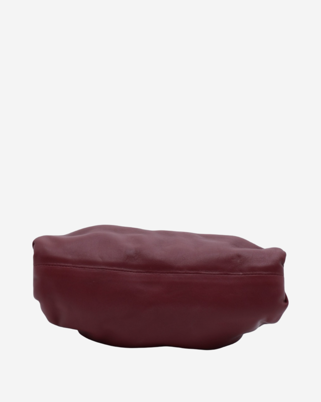 Bottega Veneta The Pouch Bag