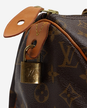 Louis Vuitton Speedy 30 Bag