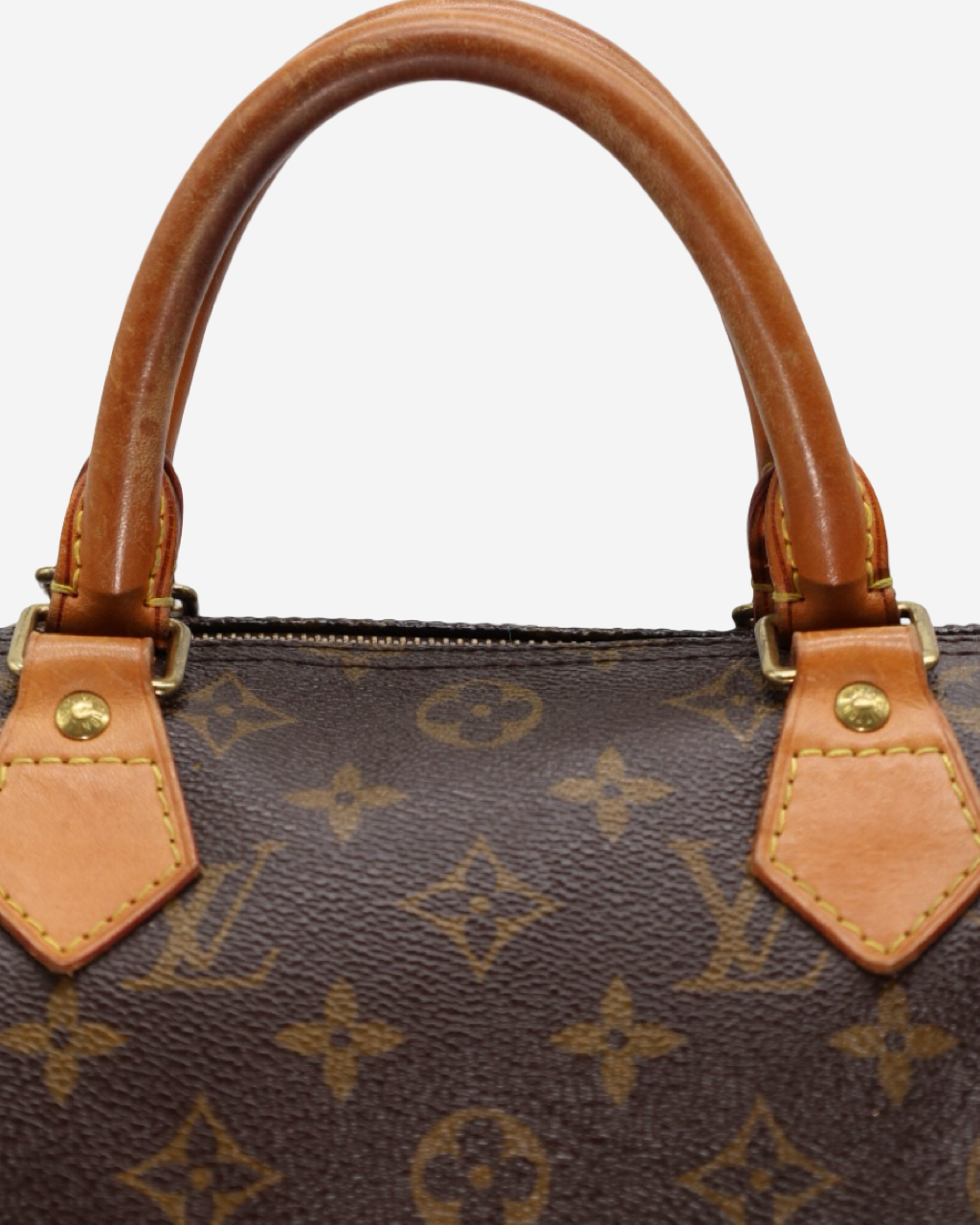 Louis Vuitton Speedy 30 Bag