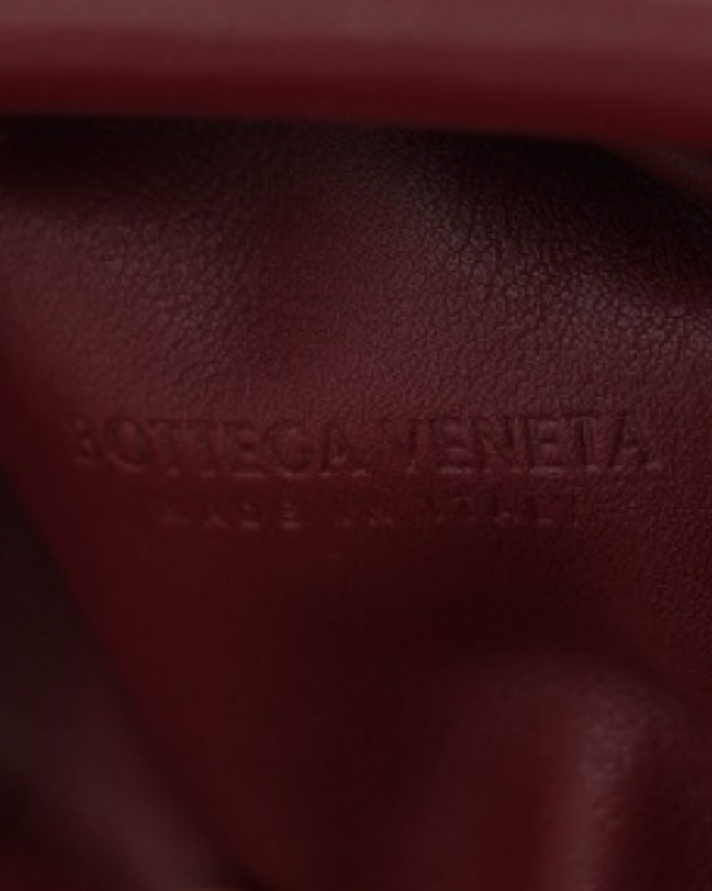 Bottega Veneta The Pouch Bag