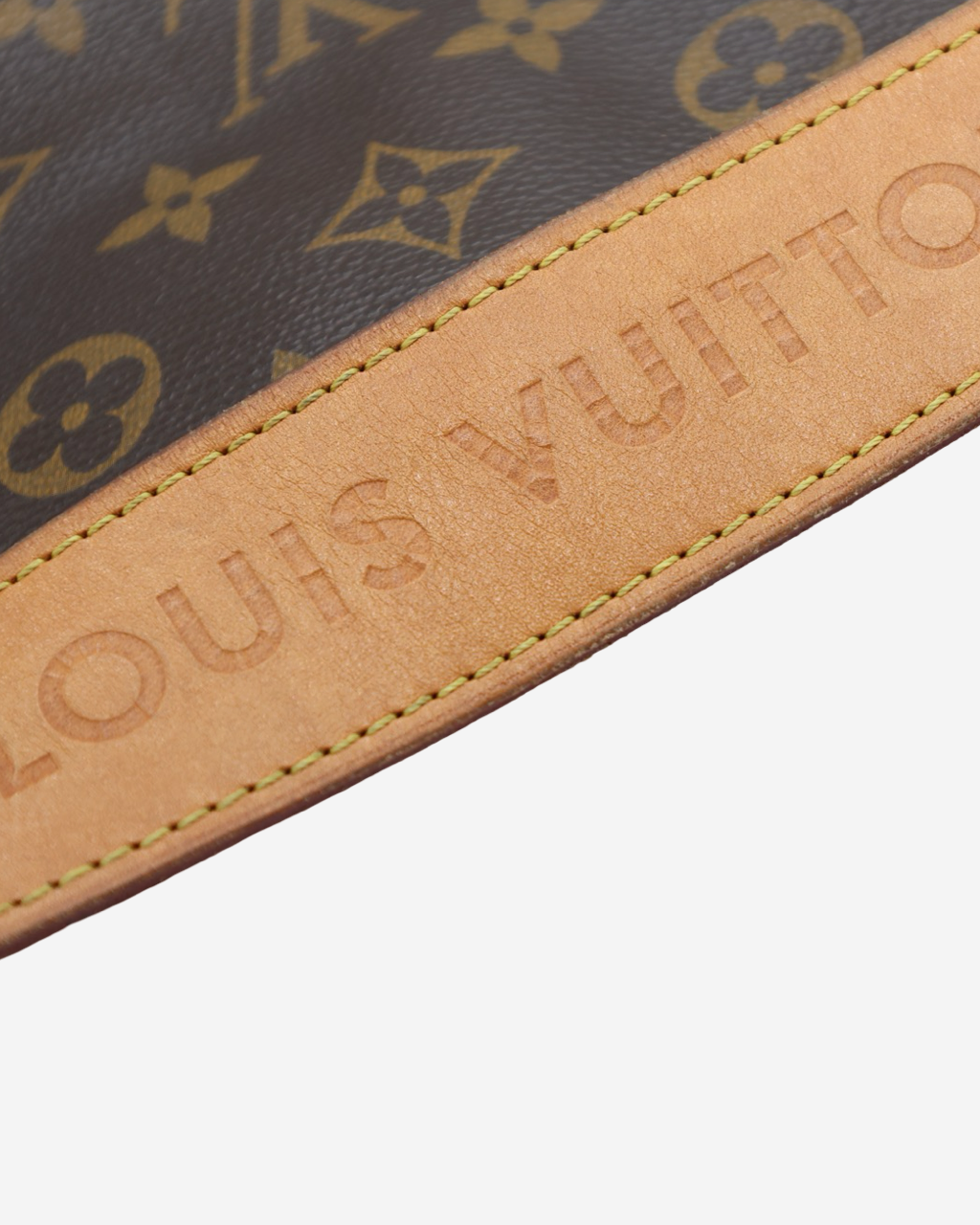 Bolsa Louis Vuitton Delightful MM