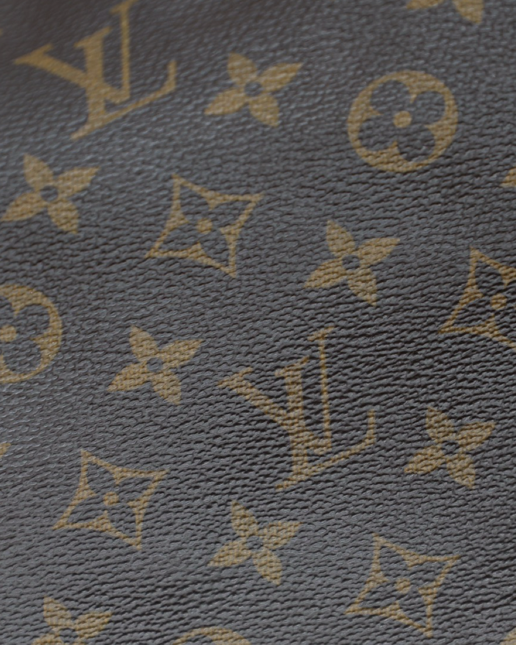Bolsa Louis Vuitton Delightful MM