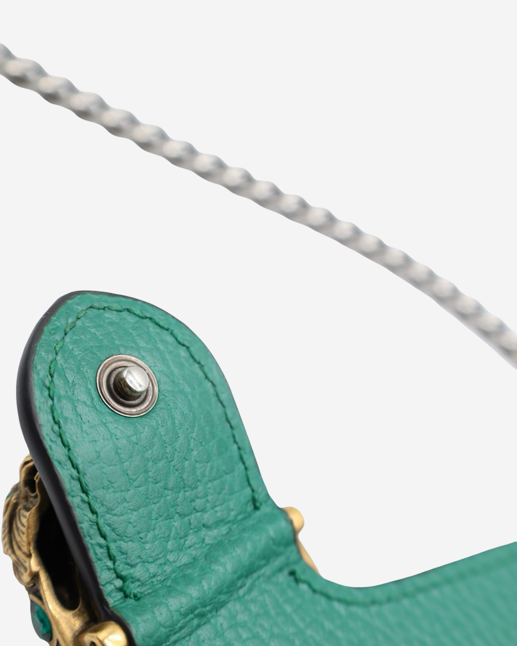 Gucci Woc Dionysus bag