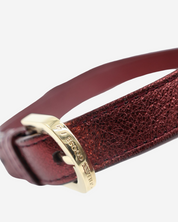 Golden Goose Star Fanny Pack