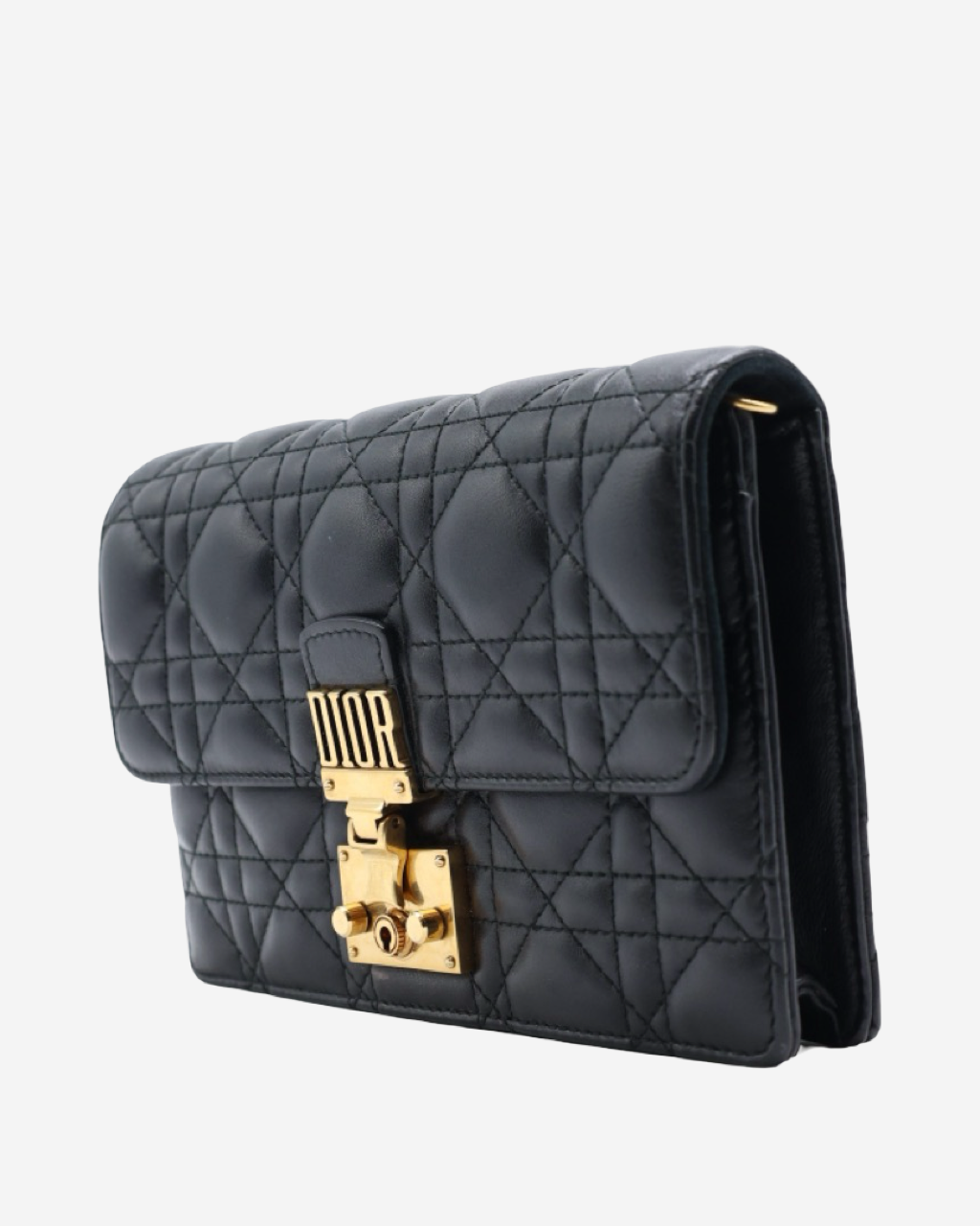 Dior Cannage WOC Bag