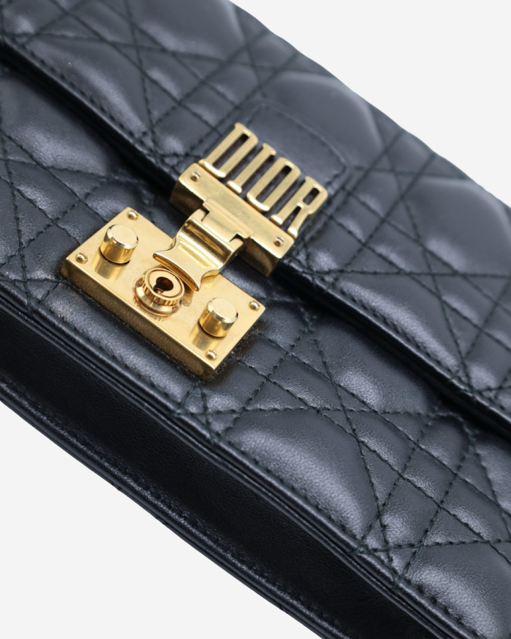 Dior Cannage WOC Bag